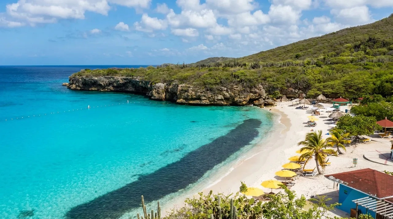 Curacao Snorkeling: Best Spots, Tours, and What to Know Before You Go