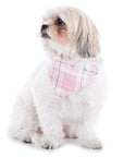 Pup-Gone Glam Pet Gift Set