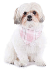 Pup-Gone Glam Pet Gift Set