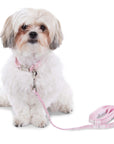 Pup-Gone Glam Pet Gift Set