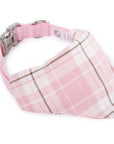 Pup-Gone Glam Pet Gift Set