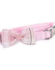 Pup-Gone Glam Pet Gift Set