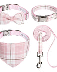 Pup-Gone Glam Pet Gift Set