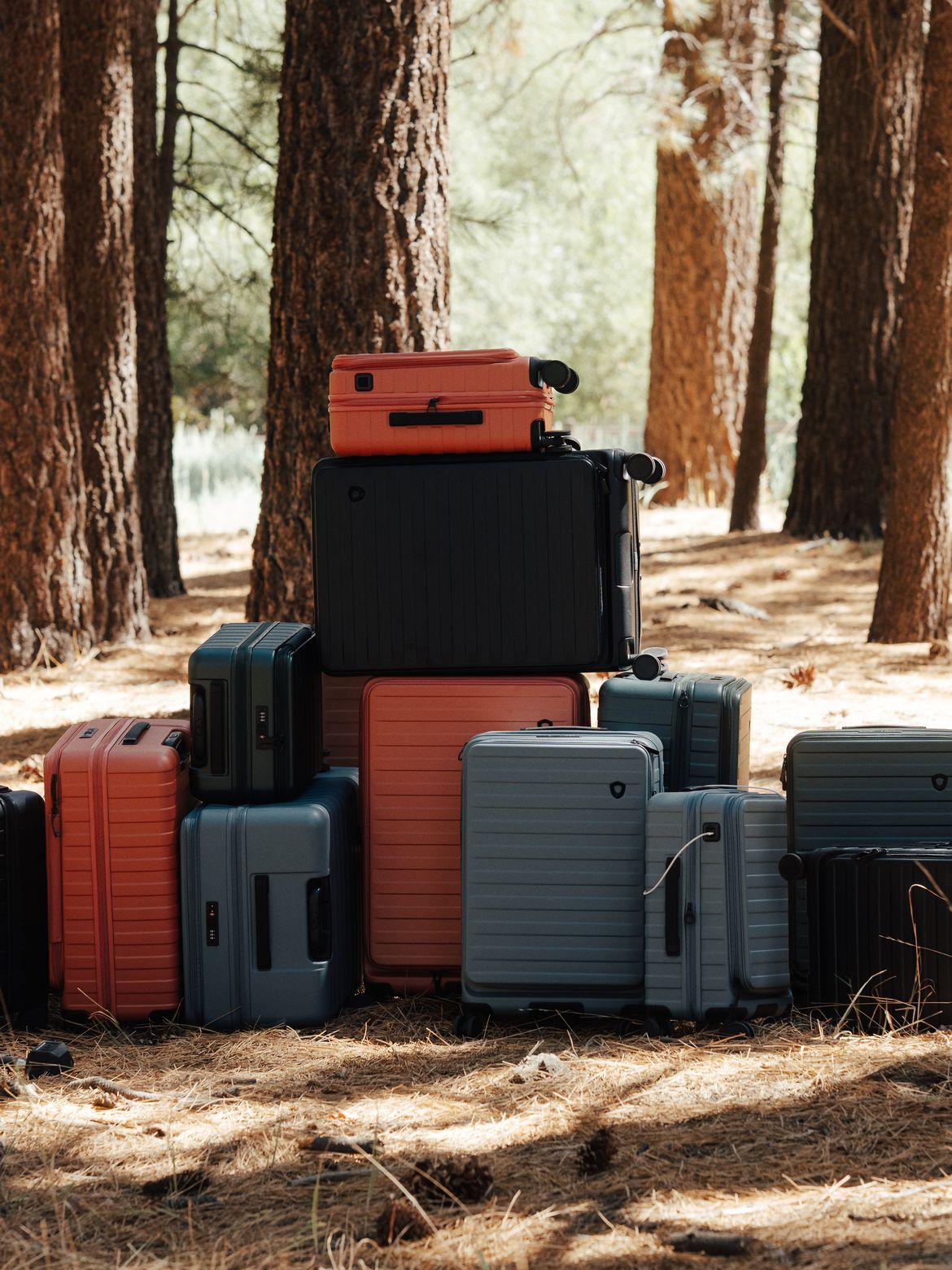 Hard-shell suitcases, including blue-gray and terracotta ones, standing on a sunlit forest floor covered in pine needles.