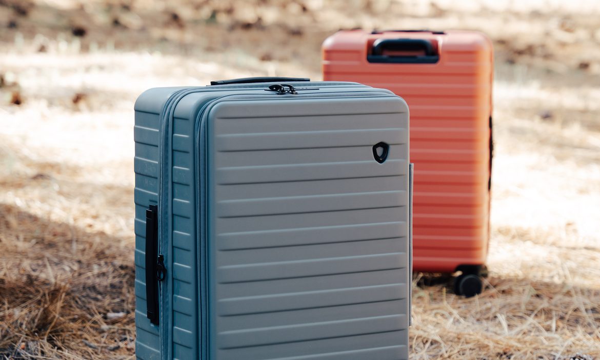 Hard-shell suitcases, including blue-gray and terracotta ones, standing on a sunlit forest floor covered in pine needles.